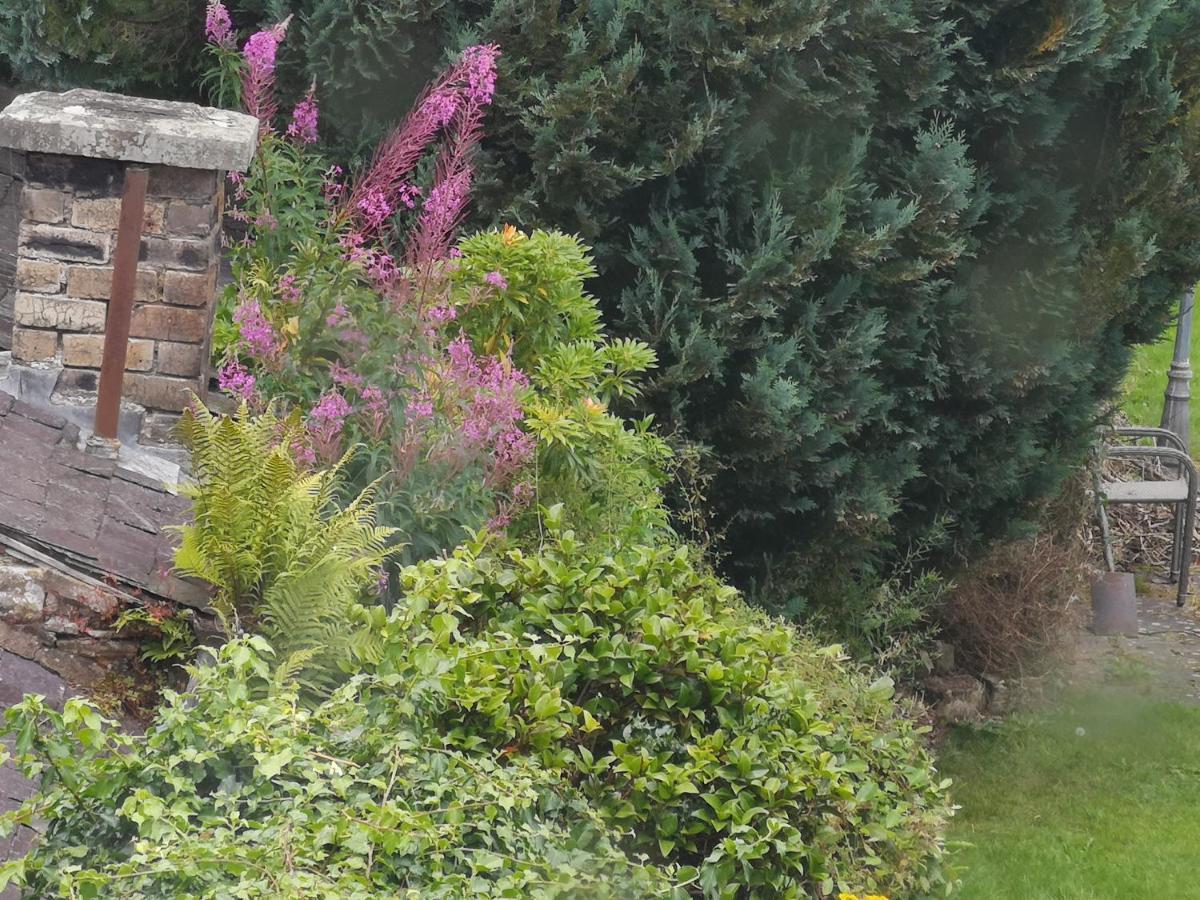 An Escape For 2: Near A Castle Island In Scotland Lejlighed Kinross Eksteriør billede